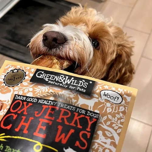 Treats & Chews