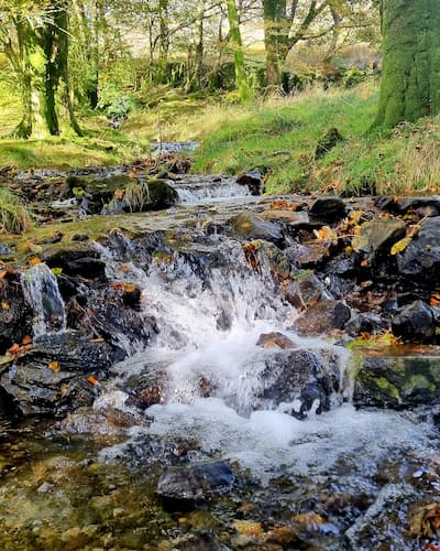 Babbling stream in Wales