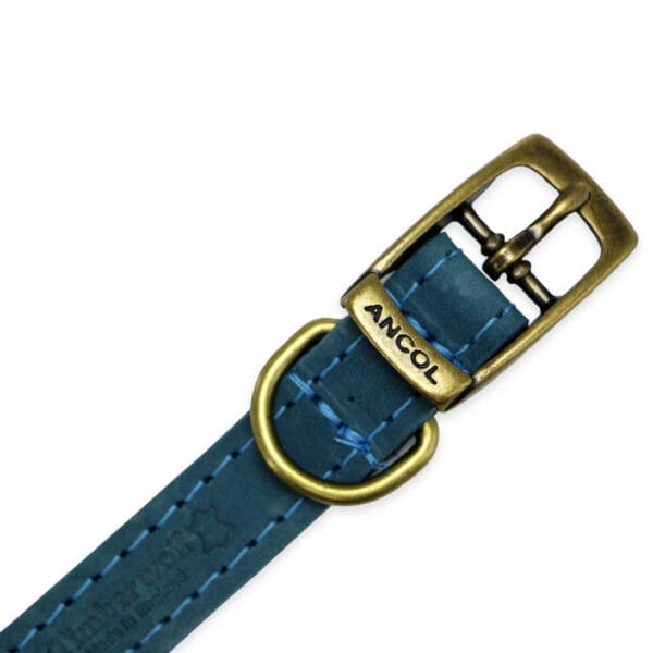 Ancol Timberwolf Leather Dog Collar - Blue - Image 2