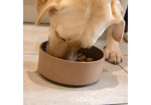 Hungry Paws Bamboo Feeding Bowl  650ml - Small - Image 3