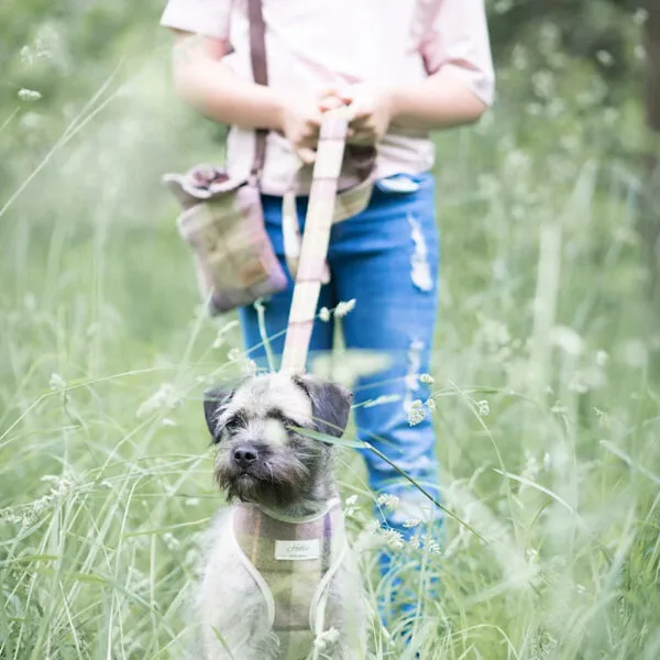 Hettie Scooby Dog Harness - Gargrave Lilac - Small - Image 3
