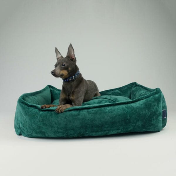 hill001 grn s hillfoot paws green nest dog beds small 1