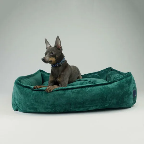 hill002 grn m hillfoot paws green nest dog beds medium 1