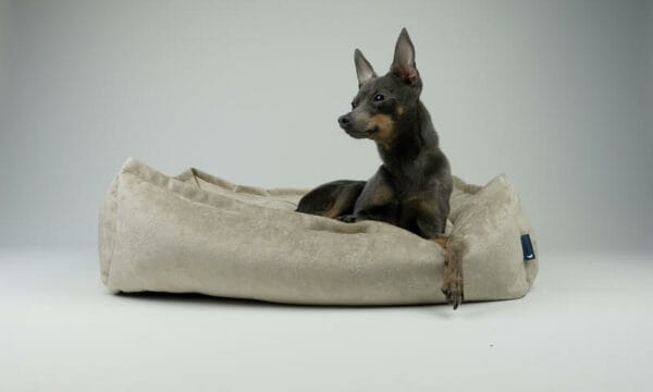 hill003 cr s hillfoot paws cream nest dog beds small 1