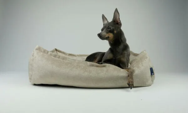 Hillfoot & Paws Cream Nest Dog Beds - Medium