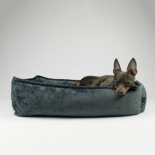 Hillfoot & Paws Black Nest Dog Beds - Medium