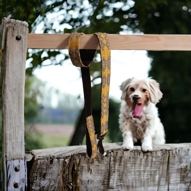 Moose & Co Welsh tapestry blanket design Dog Leads - Gold