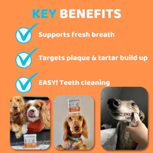 Our Dogs Life Dental Cleaning Wipes for Dogs - Image 2