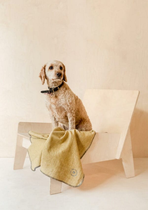 TBco Small Recycled Wool Pet Blanket  - Mustard Herringbone