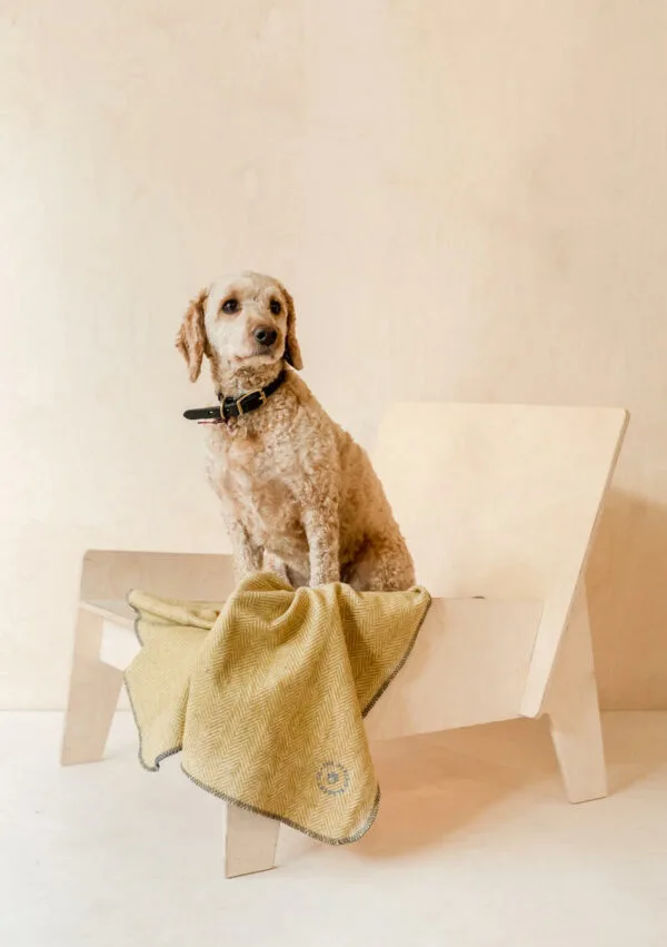 tbc001 must s tbco small recycled wool pet blanket mustard herringbone 1