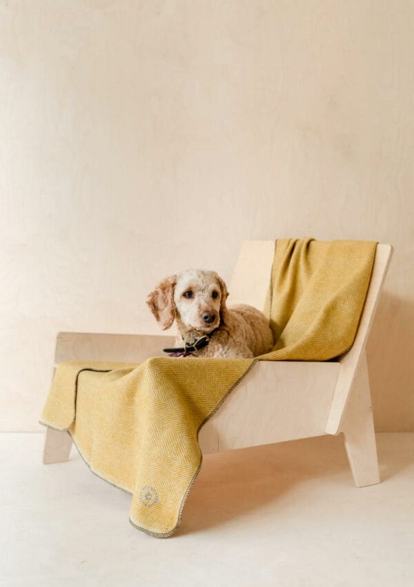 TBco Large Recycled Wool Pet Blanket  - Mustard Herringbone