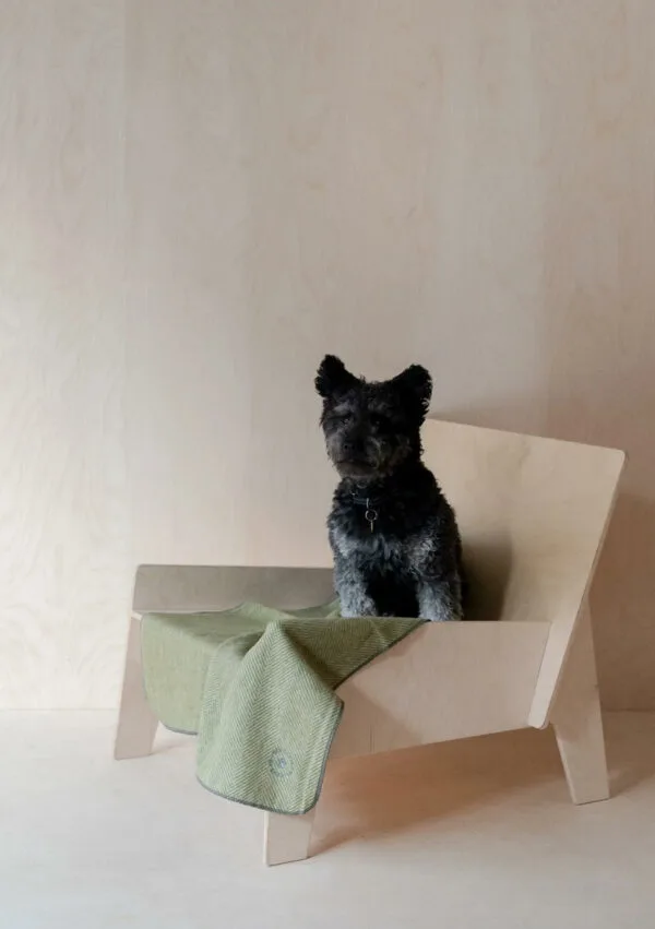 TBco Small Recycled Wool Pet Blanket  - Olive Herringbone