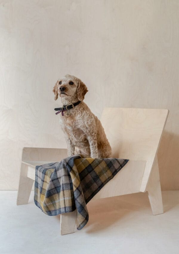 tbc004 buch s tbco small recycled wool pet blanket buchanan natural tartan 1