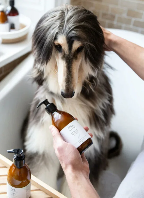 Wild for Dogs So Fresh So Clean Dog Shampoo - 150ml - Image 2