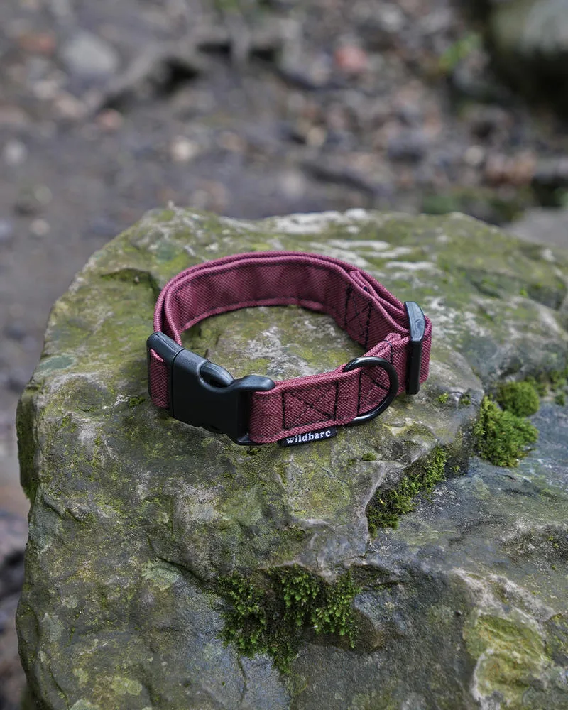 Wildbarc Waterproof Canvas Collars - Bugrundy