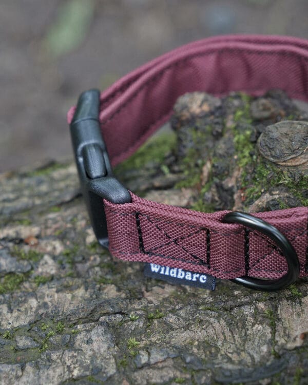 wil004 wildbarc waterproof canvas collars bugrundy 2