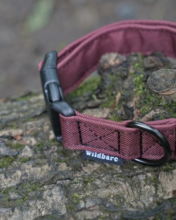 Wildbarc Waterproof Canvas Collars - Bugrundy - Image 2