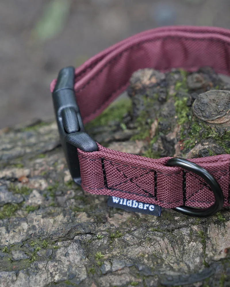 Wildbarc Waterproof Canvas Collars - Bugrundy - Image 2