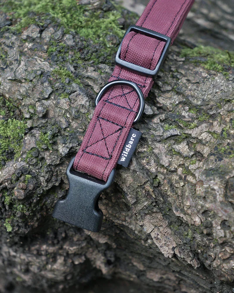 Wildbarc Waterproof Canvas Collars - Bugrundy - Image 3
