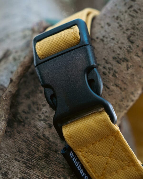 wil005 wildbarc waterproof canvas collars yellow 2