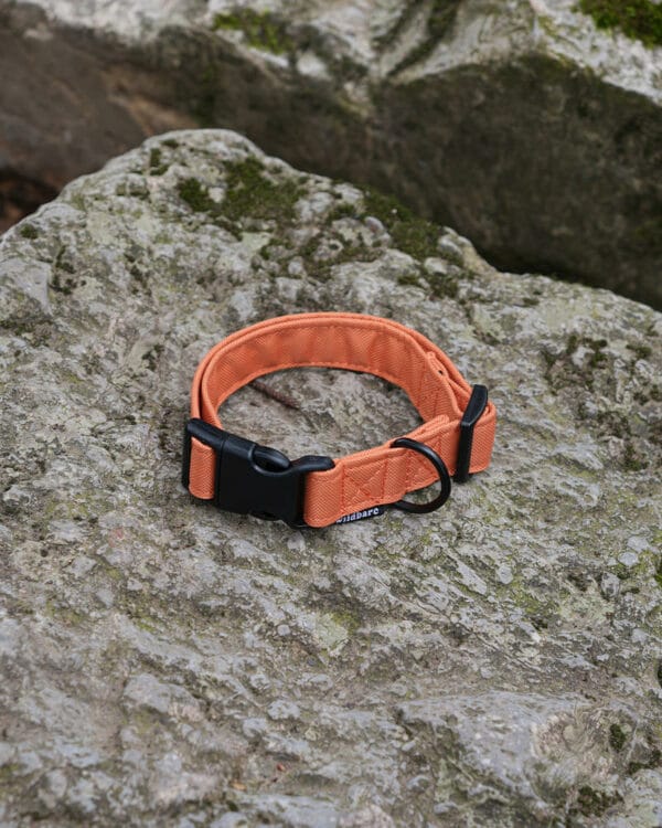 Wildbarc Waterproof Canvas Collars - Orange