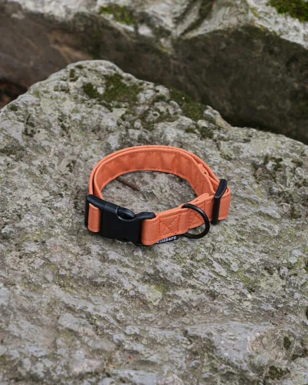 wil006 wildbarc waterproof canvas collars orange 1