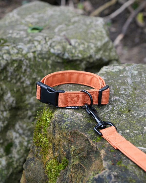 Wildbarc Waterproof Canvas Collars - Orange - Image 2