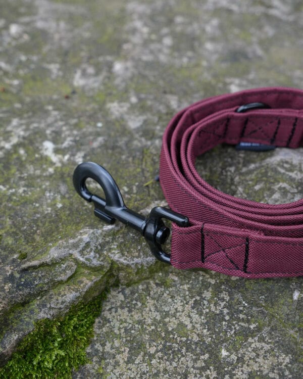 Wildbarc Waterproof Canvas Leads Burgundy - Image 2