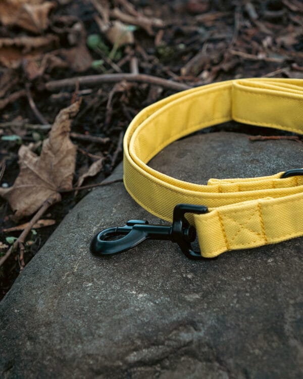 wil009 yel wildbarc waterproof canvas leads yellow 1