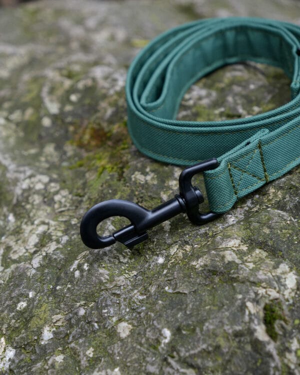 Wildbarc Waterproof Canvas Leads - Green