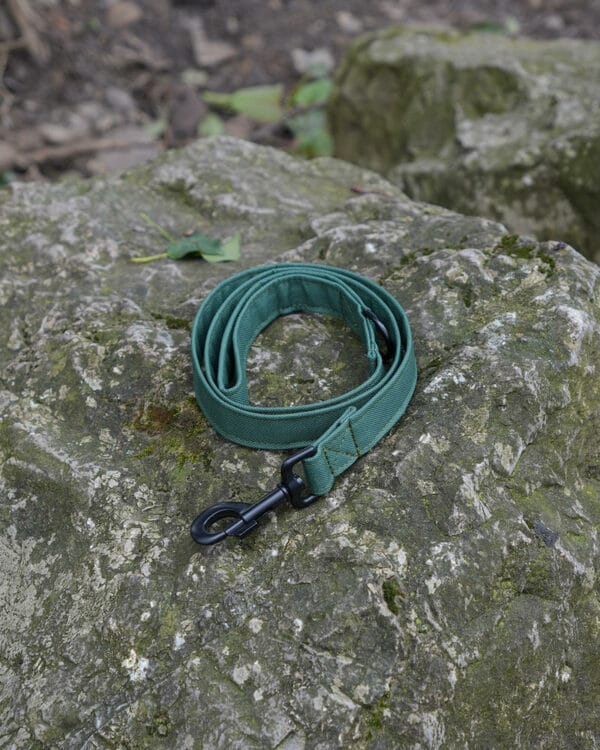 Wildbarc Waterproof Canvas Leads - Green - Image 2