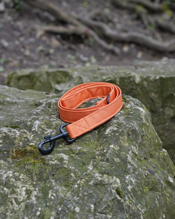 wil010 ora wildbarc waterproof canvas leads orange 1