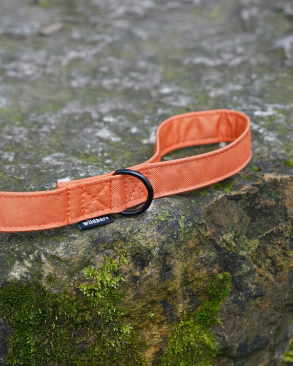 wil010 ora wildbarc waterproof canvas leads orange 2