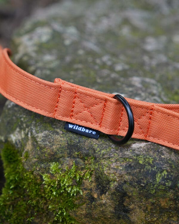 wil010 ora wildbarc waterproof canvas leads orange 3