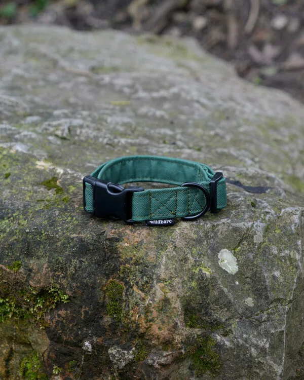 Wildbarc Waterproof Canvas Collars - Green