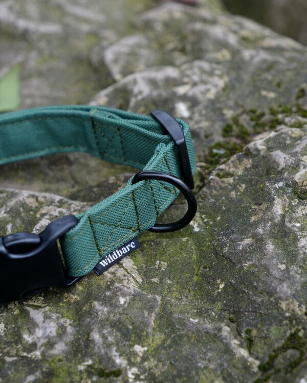 wild007 wildbarc waterproof canvas collars green 2