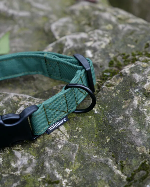 Wildbarc Waterproof Canvas Collars - Green - Image 2