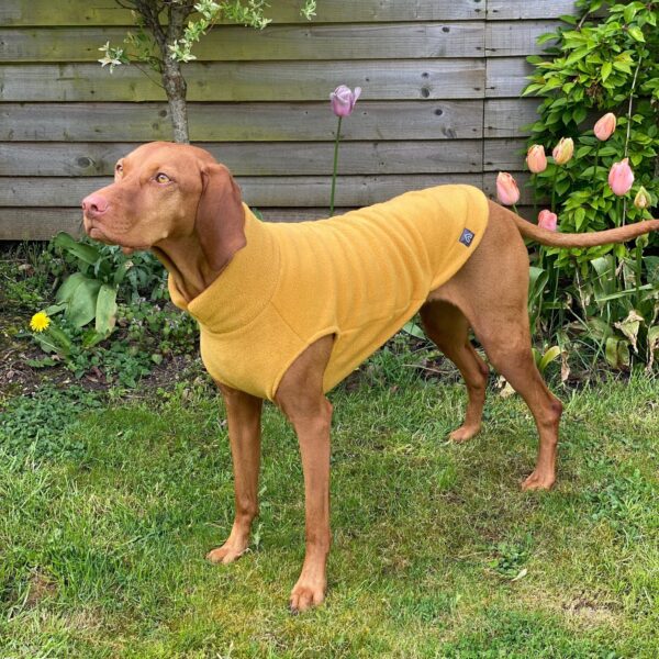 Doghouse Large Dog  Fleece Jumper - Mustard