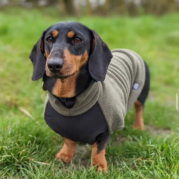 Doghouse Dachshund Fleece Jumper with Waterproof Belly Panel - Olive