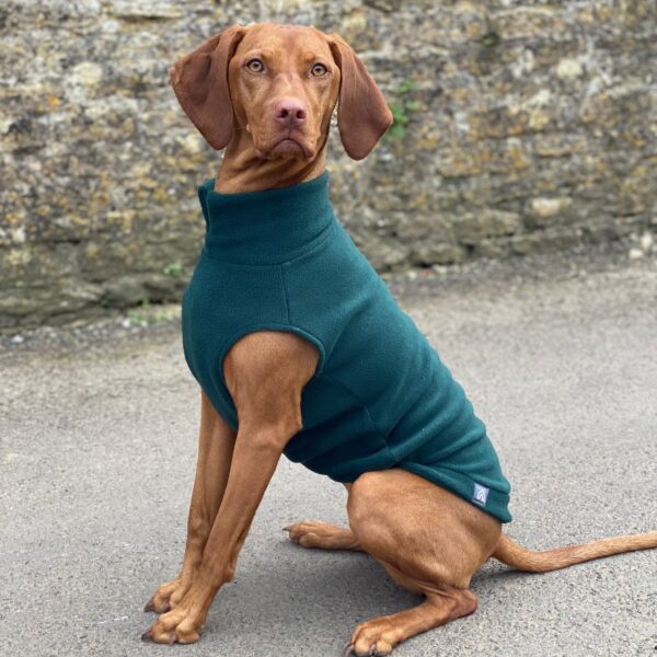 Doghouse Large Dog Fleece Jumper - Teal