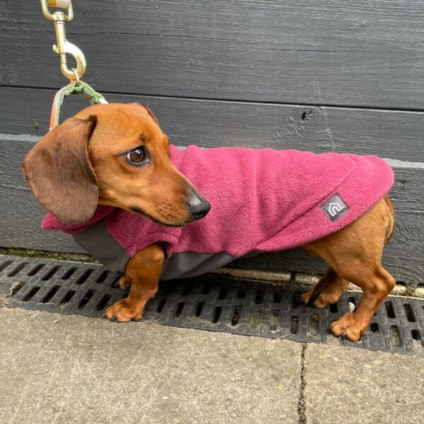 Doghouse Dachshund Fleece Jumper with Waterproof Belly Panel - Dusty Rose