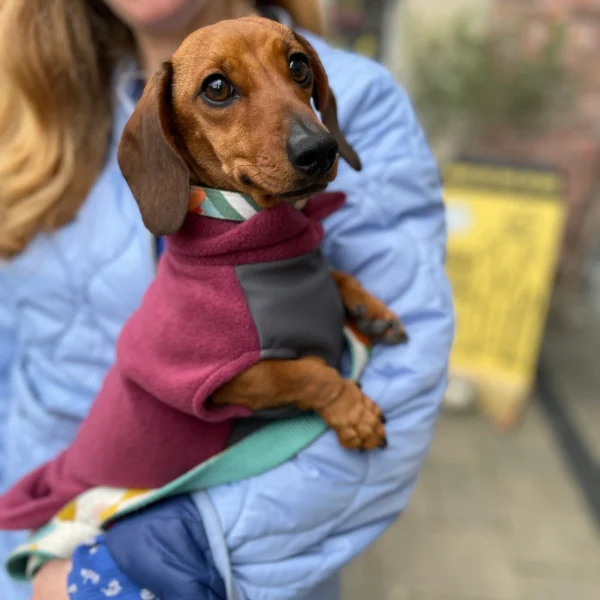 Doghouse Dachshund Fleece Jumper with Waterproof Belly Panel - Dusty Rose - Image 3